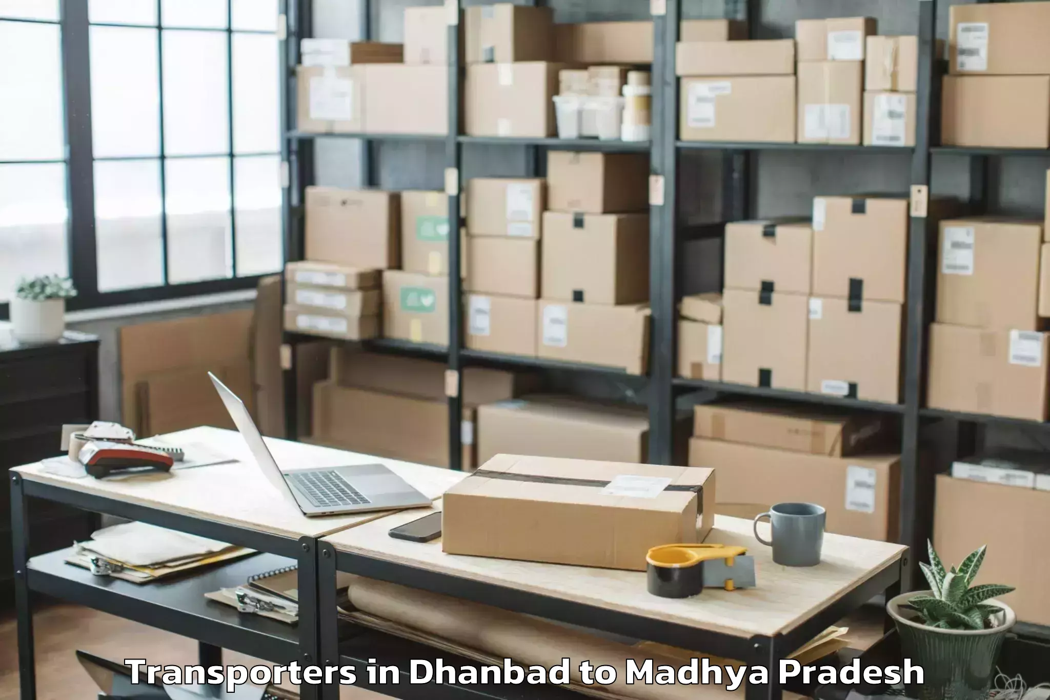 Top Dhanbad to Bhopal Transporters Available